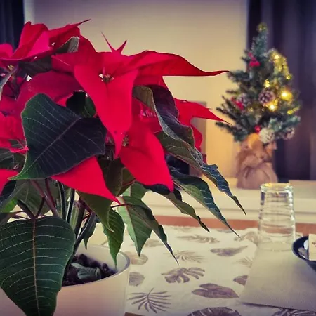 Apartamento - Langenhagen Center