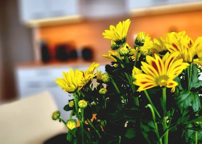 - Langenhagen Center *