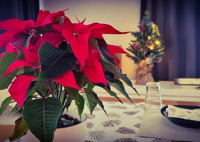 Lejlighed - Langenhagen Center