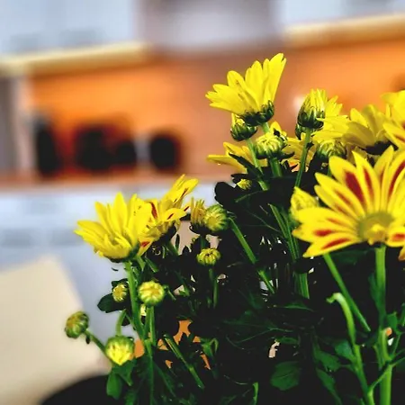 - Langenhagen Center *